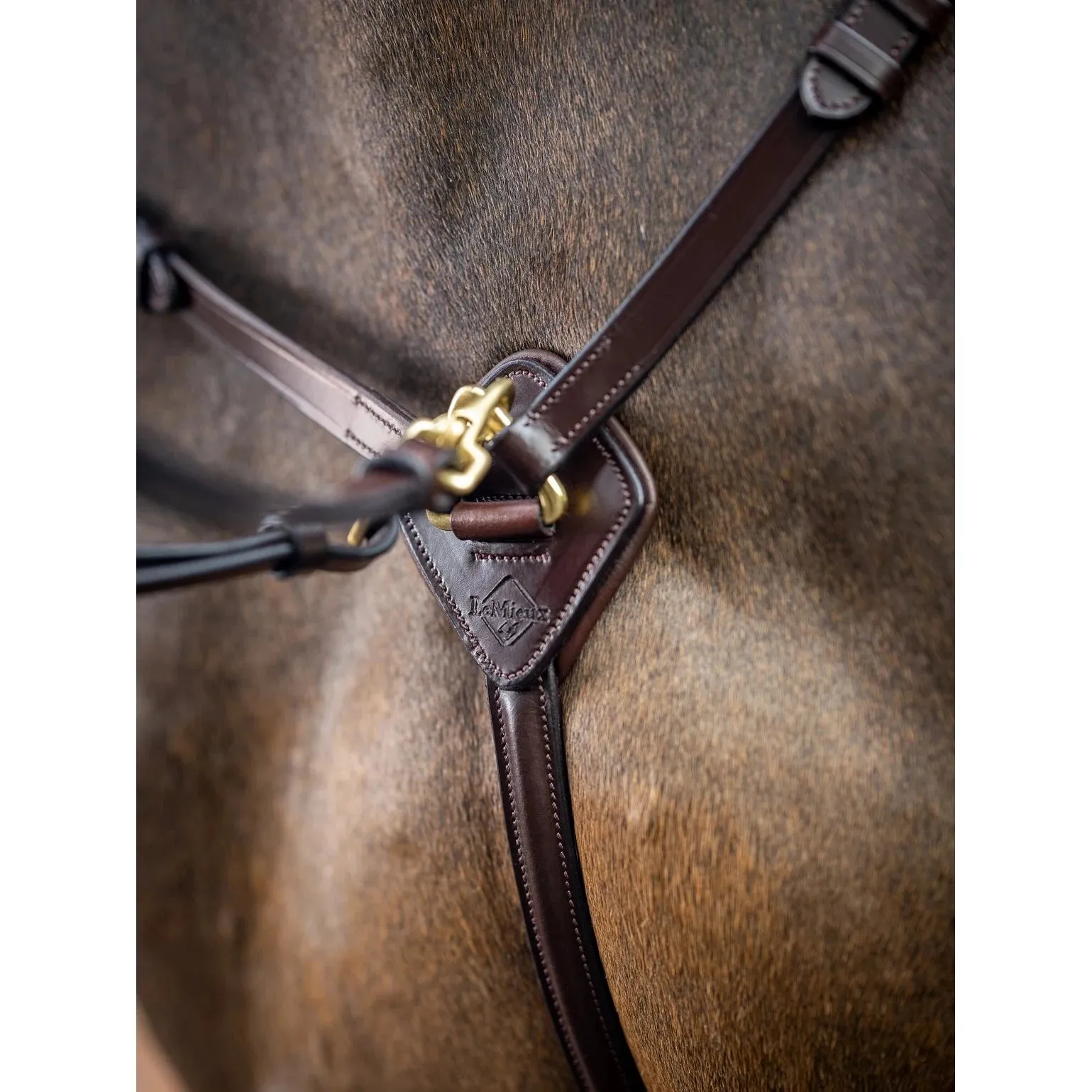 LeMieux Breastplate