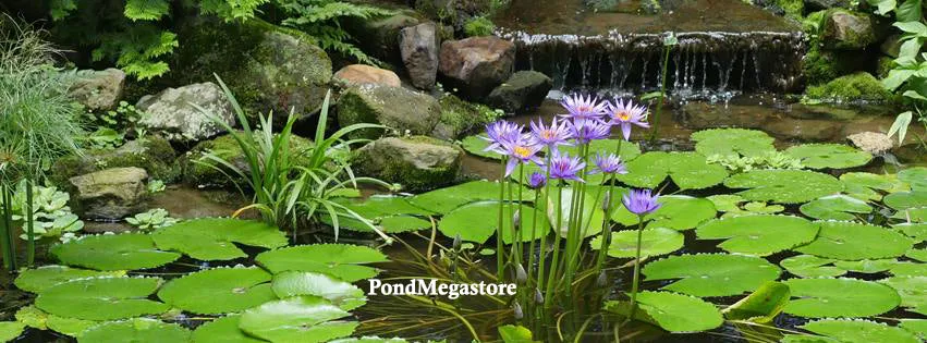 Pond Tabbs Aquatic Plant Fertilizer (Choose Size)
